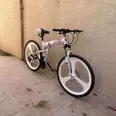 الصورة الأولى