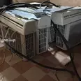الصورة الأولى