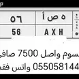 الصورة الأولى