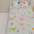 الصورة الأولى