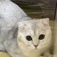 الصورة الأولى
