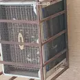 الصورة الأولى