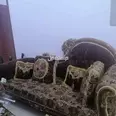 الصورة الأولى