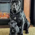 First Image