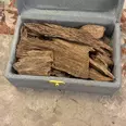 First Image