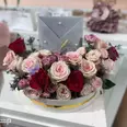 الصورة الأولى