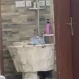 الصورة الأولى
