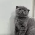 First Image
