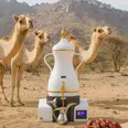 الصورة الأولى