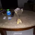 First Image