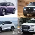 الصورة الأولى