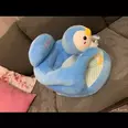 الصورة الأولى