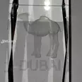 First Image