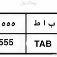 الصورة الأولى