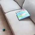 الصورة الأولى