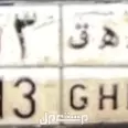 الصورة الأولى