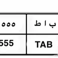 الصورة الأولى
