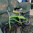 الصورة الأولى