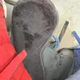 الصورة الأولى