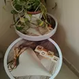 الصورة الأولى