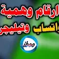 الصورة الأولى