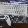 الصورة الأولى
