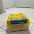 الصورة الأولى