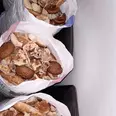 الصورة الأولى