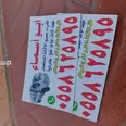 الصورة الأولى