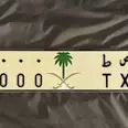 الصورة الأولى