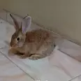 الصورة الأولى