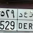 الصورة الأولى