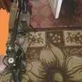 First Image