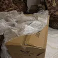 الصورة الأولى