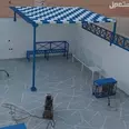 الصورة الأولى