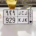 الصورة الأولى