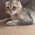 الصورة الأولى