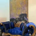 الصورة الأولى