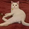 First Image