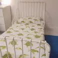 First Image