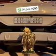 الصورة الأولى