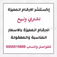 الصورة الأولى