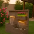 First Image