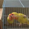 الصورة الأولى