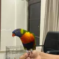 الصورة الأولى