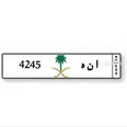 الصورة الأولى