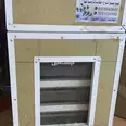 الصورة الأولى