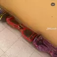 الصورة الأولى