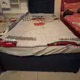 الصورة الأولى