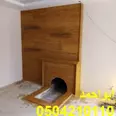 First Image